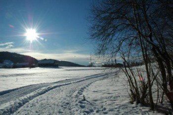 Das verschneite Alberschwende