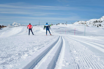 Aletsch Arena