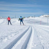 Aletsch Arena