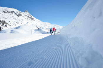 Aletsch Arena