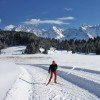 Langläufer auf der Panoramaloipe am Geroldsee