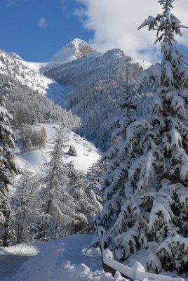 Ancelle village
