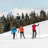Entdecke die verschneite Winterlandschaft entlang der Welchsel-Panoramaloipe.