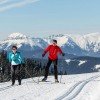 Entlang der Panorama-Loipe gibt es blau, rot und schwarz markierte Abschnitte.