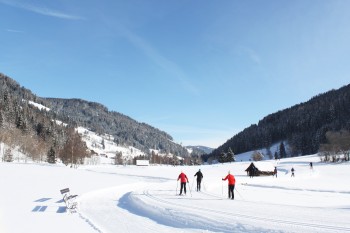 Römerloipe & Wanderwerg
