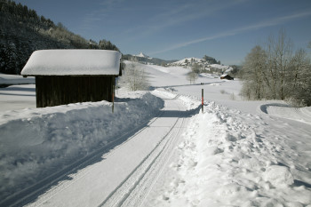 Winterlandschaft