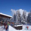 berg.baiz Brambrüesch am Loipenrand