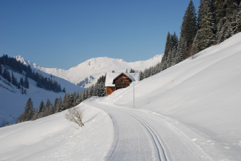 Loipe Unterdamüls