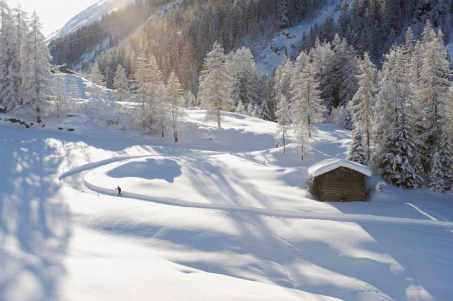 Langlaufen in der idyllischen Natur rund um Davos und Klosters.