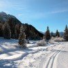 Auf den Loipen kann man durch die herrliche Winterlandschaft gleiten.