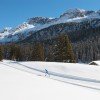 Die Stille der Natur beim Langlaufen genießen.