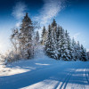 Langlaufen in malerischer Winterlandschaft