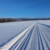 Loipen Grafenau