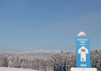 Panoramaloipe
