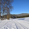 Sonnenloipe und Winterwanderweg - Langlaufzentrum Grafenau