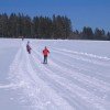 Langlaufen im Langlaufzentrum Hotzenwald