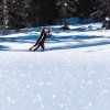 Aktivurlaub im Salzburger Land