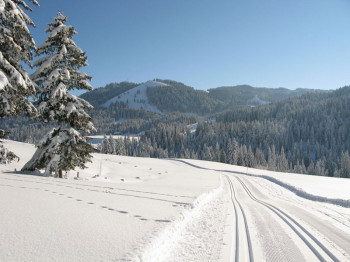 Im Winter werden die Loipen immer wieder frisch präpariert.