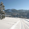 Im Winter werden die Loipen immer wieder frisch präpariert.