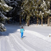 Klassischer Langlauf im DSV Nordic Aktiv Zentrum Isny im Allgäu