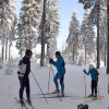 Teilweise führen die Loipen in Klingenthal auch durch den Wald.