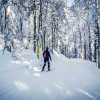 Die klassisch, aber auch für Skater gespurten Loipen führen dich durch die verschneiten Wälder des Hochschwarzwaldes.