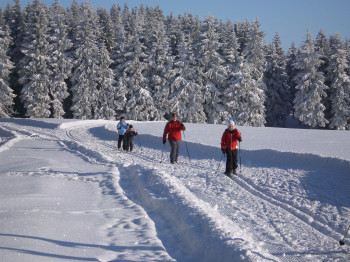 Skiwanderweg Oberer Alsbachberg-Rennsteigschleife