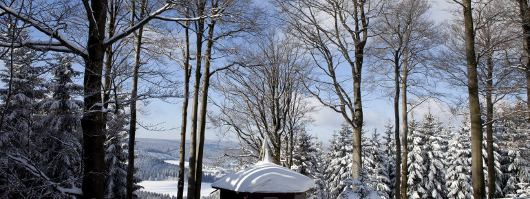 Skiwanderweg Weidmannsheil- Blick zum Stausee Scheibe-Alsbach