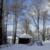 Skiwanderweg Weidmannsheil- Blick zum Stausee Scheibe-Alsbach
