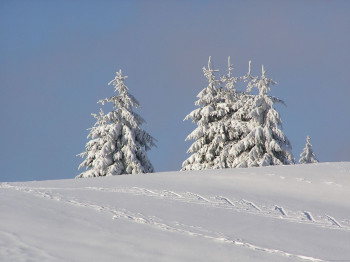 Landschaft in Neuhaus