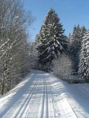 Langlaufen in Neureichenau