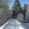 Langlaufen in Neureichenau