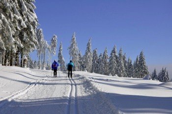 Bis zu 50 Kilometer lang sind die Loipen rund um Oberhof im Thüringer Wald.