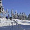 Bis zu 50 Kilometer lang sind die Loipen rund um Oberhof im Thüringer Wald.