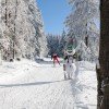 Oberhof ist ein Eldorado für Langläufer.