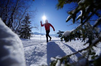 Die Moosloipe im Sonnenlicht