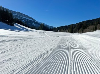 Die Lopen werden regelmäßig präpariert.
