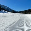Die Lopen werden regelmäßig präpariert.
