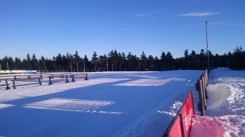 Die Langlaufloipe an der Skiarena