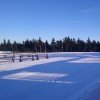 Die Langlaufloipe an der Skiarena