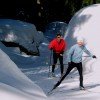 Rund 100 Loipenkilometer ziehen sich rund um den Ochsenkopf durch die winterliche Landschaft.