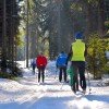 Langlauf am Wagenthal