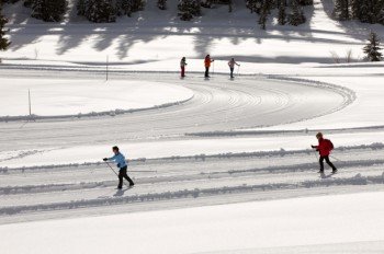 Langlaufszentrum Alochet - Pelelgrinopass- Moena - Val di Fassa - Dolomiten - Italia