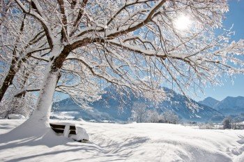 Die idyllische Winterlandschaft des Chiemgaus.