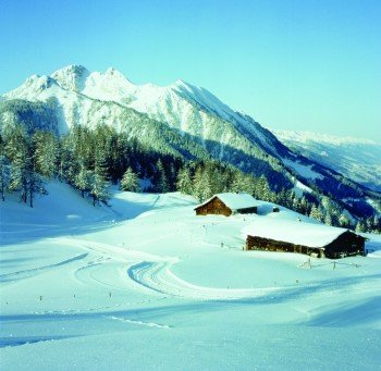 Blick auf die Höhenloipe Obergass