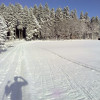 Übungsrunde