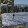 44 Loipenkilometer verlaufen rund um St. Andreasberg.