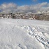 Winterlandschaft im Harz