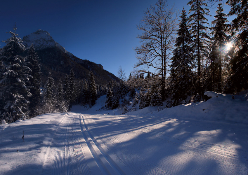 Langlaufen in Steinberg - mit Blick auf den 2.195 Meter hohen Guffert, der Hausberg der Steinberger