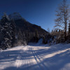 Langlaufen in Steinberg - mit Blick auf den 2.195 Meter hohen Guffert, der Hausberg der Steinberger